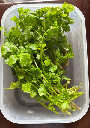 Foto resep ❤️ Tips TERBAIK Menyimpan Cilantro di kulkas