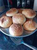 خبز الهمبورغر