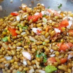 A picture of Sprouts Chat.