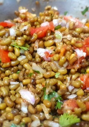 A picture of Sprouts Chat.