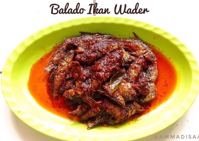 Easiest Way to Cook Appetizing Balado Ikan Wader