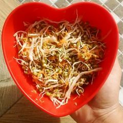 A picture of Green Gram Sprouts salad with veggies.