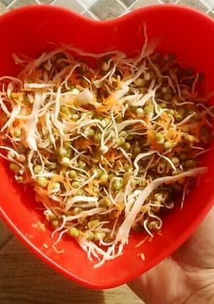 A picture of Green Gram Sprouts salad with veggies.