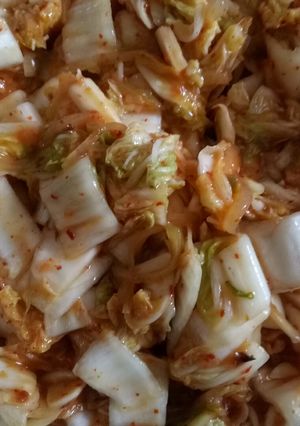 Foto resep Kimchi sederhana