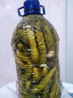 عکسی از دستور خیارشور خانگی