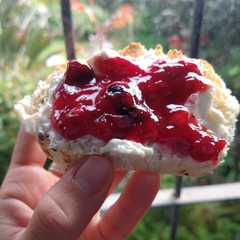 A picture of Mermela de frutillas y arándanos.
