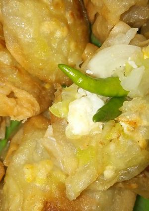Foto resep Martabak sayuran Sehat