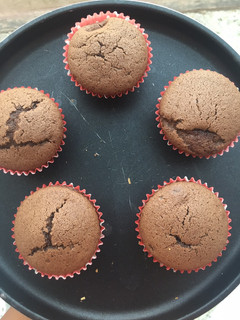 A picture of Basic chocolate cupcake.