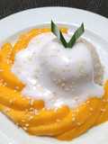 Mango Sticky Rice -359-