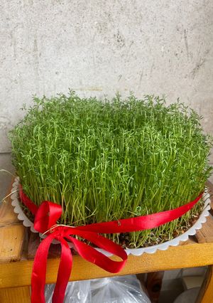 عکسی از دستور سبزه عدس