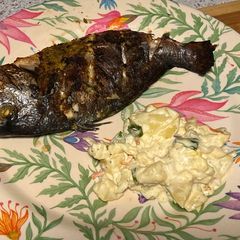 A picture of Mediterranean sea bream.