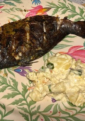 A picture of Mediterranean sea bream.