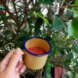 Jus Jambu Biji