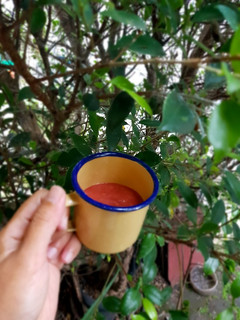 Foto resep Jus Jambu Biji