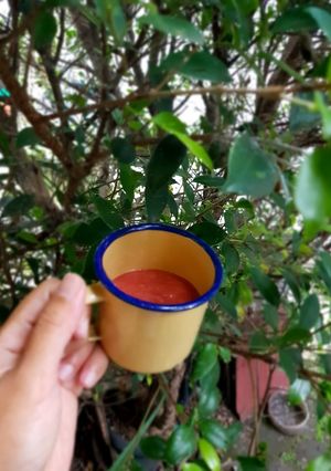 Foto resep Jus Jambu Biji