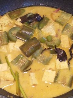 Foto resep Jangan(sayur) tahu terong