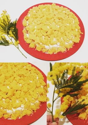 Foto di Torta Mimosa senza lattosio