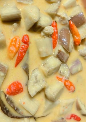 Foto resep Lodeh terong tempe