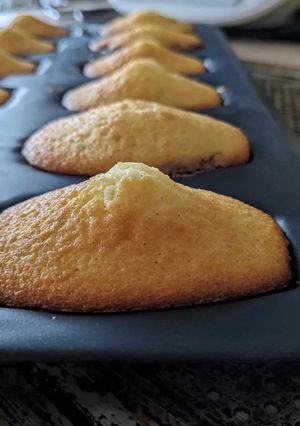 Une photo de Madeleines