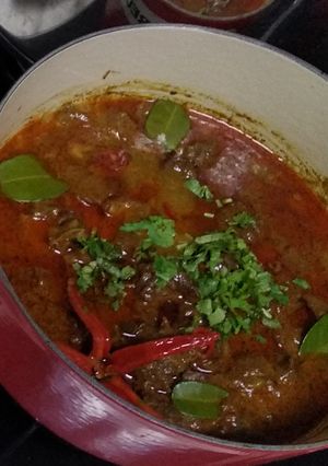 A picture of Beef rendang.