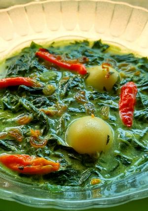 Foto resep Opor daun singkong telur puyuh 😁