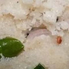 A picture of Rava upma sooji.