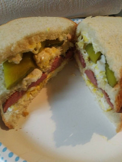 A picture of Triple with a Pickle Sandwich.
