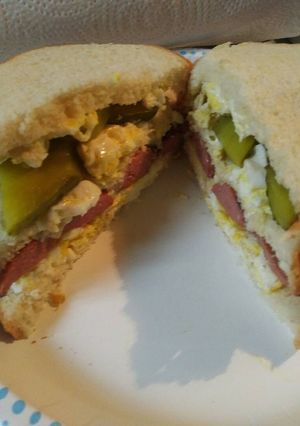 A picture of Triple with a Pickle Sandwich.