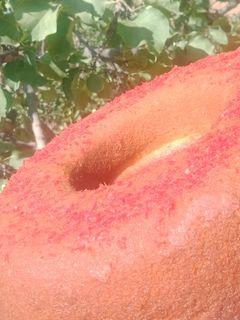 صورة لوصفة مسكوتشو