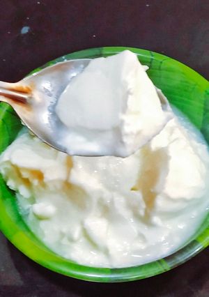 A picture of Homemade Sour Curd.