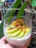 Avocado Overnight Oatmeal