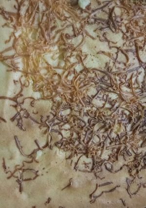 Foto resep Bolu tape panggang minimalis
