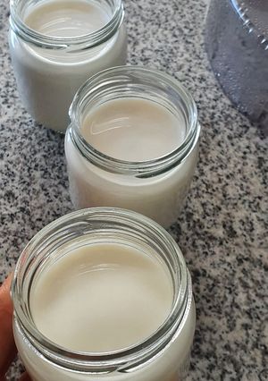 Una foto de Yogur casero de vainilla