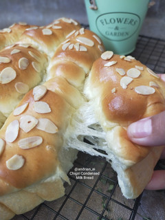 Foto resep Chigiri Condensed Milk Bread