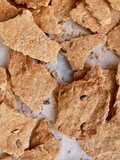 Cracker integrales
