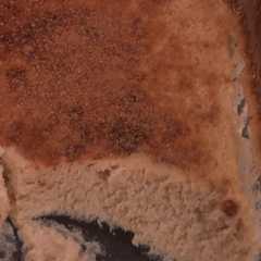 Una foto de Postrecito delicioso de manzana sin azúcar ni harinas