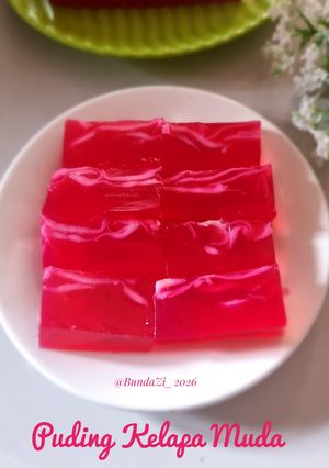 Foto resep 249. Puding Kelapa Muda