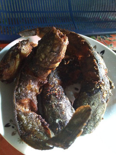 Foto resep Lele Goreng Gurih