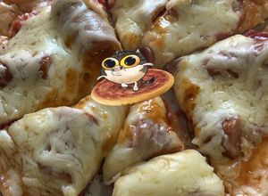 Foto de Pizza de tortilha de salame e queijo