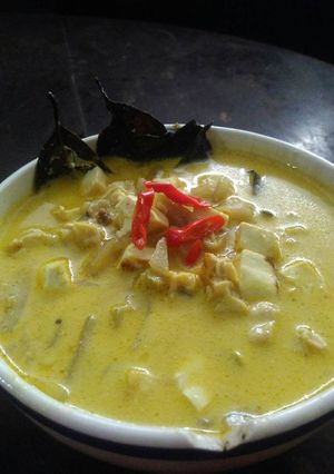 Foto resep Sayur lodeh manisa