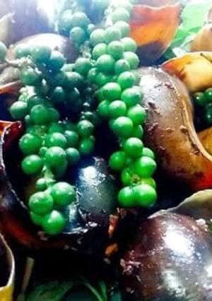 Hình của món Ốc bươu nướng tiêu.