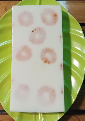 Foto resep Orange Milky Puding
