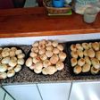Pancitos saborizados; salame, cebolla y roquefort