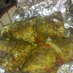 A picture of Gashin kifi.