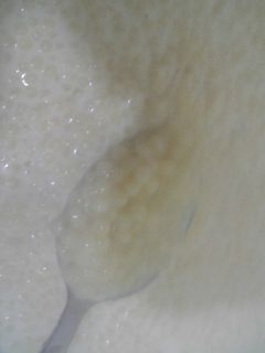 صورة لوصفة محمصة بالحليب