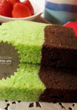 Foto resep 279. Bolu Santan Lapis Coklat-Pandan