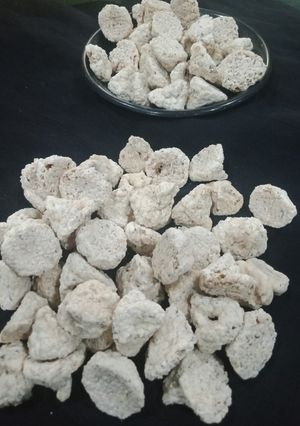 বিউলির ডালের বড়ি (biulir daler bori recipe in bengali) রেসিপির প্রধান ছবি