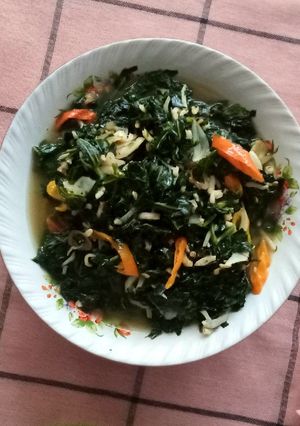 Foto resep Oseng Pedas Daun Pepaya + Teri Nasi