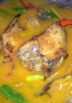 Foto resep Ikan Cucut Santan Favorit Keluarga