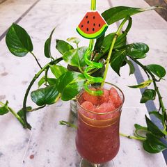 A picture of Watermelon Slush.